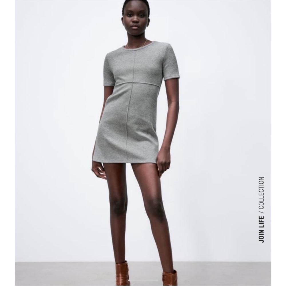 Zara Heather Gray Mini Dress